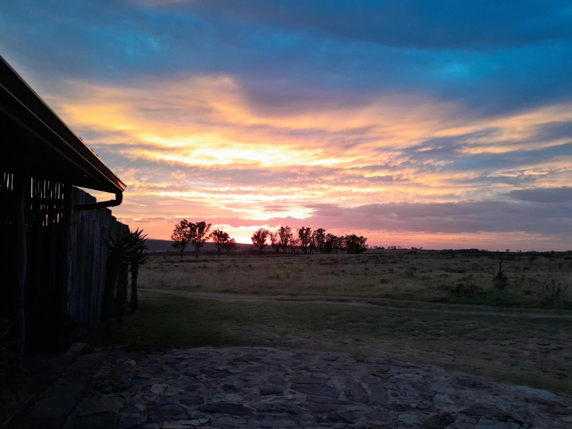 גרהמסטאון The Ranch House At African Safari Lodge מראה חיצוני תמונה