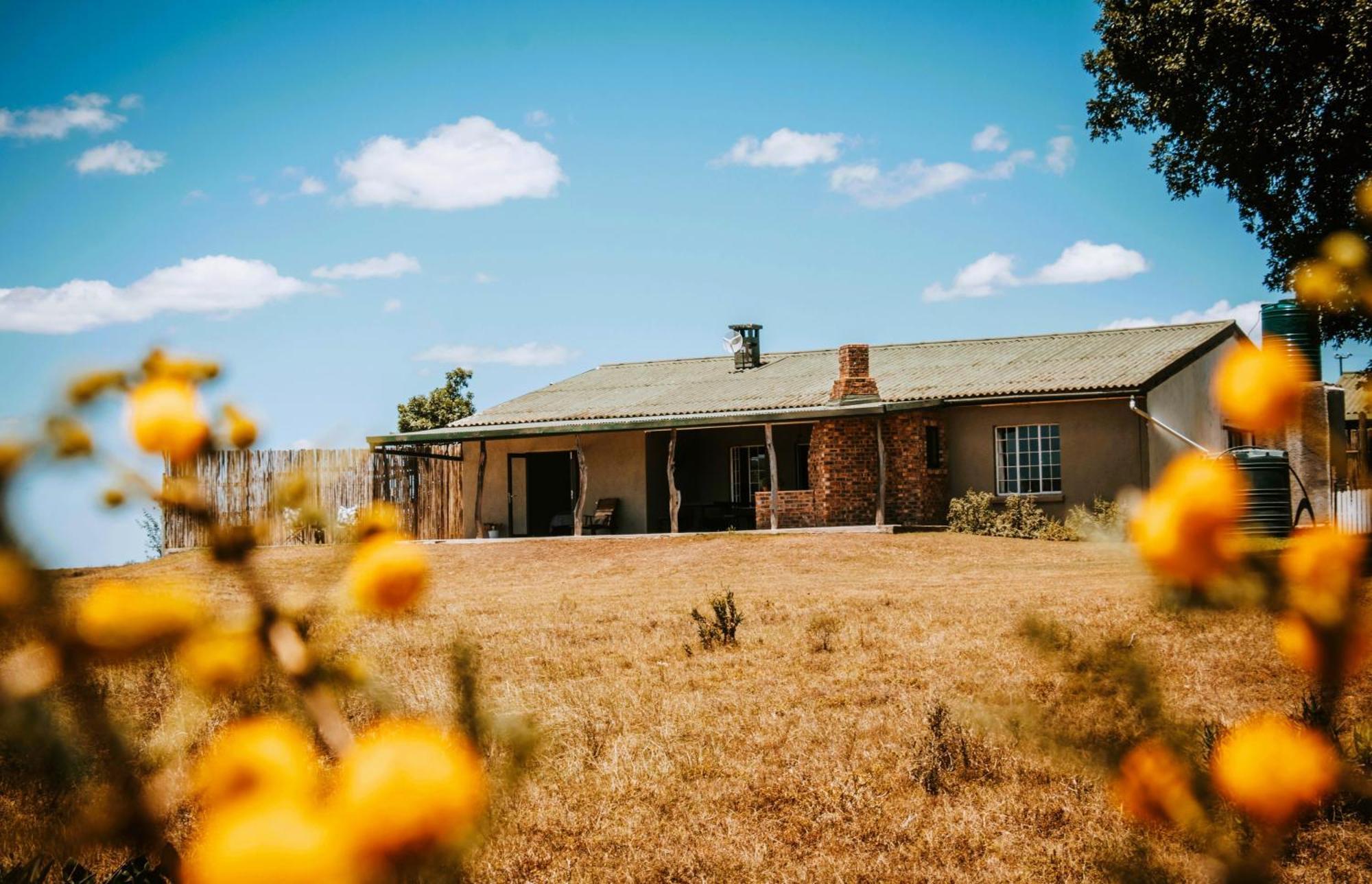 גרהמסטאון The Ranch House At African Safari Lodge מראה חיצוני תמונה