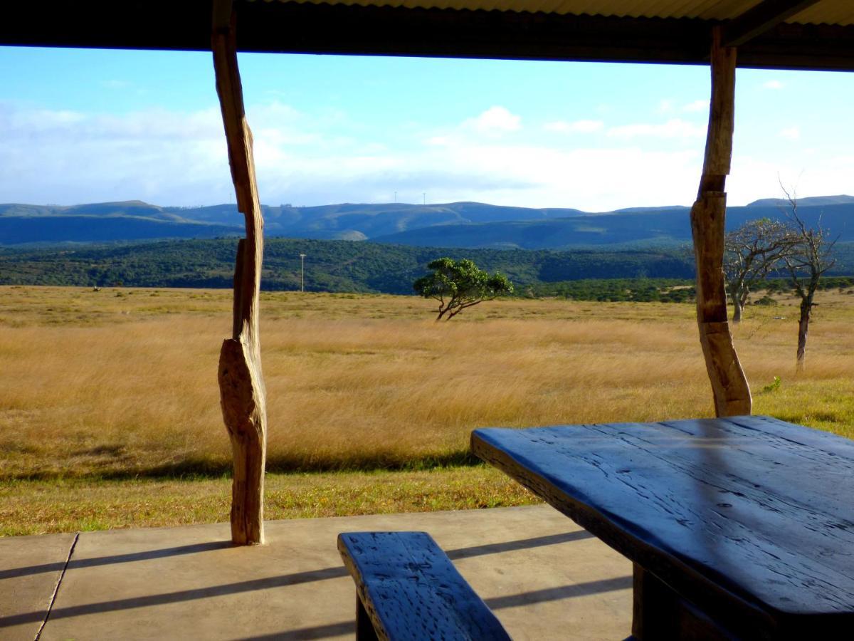 גרהמסטאון The Ranch House At African Safari Lodge מראה חיצוני תמונה